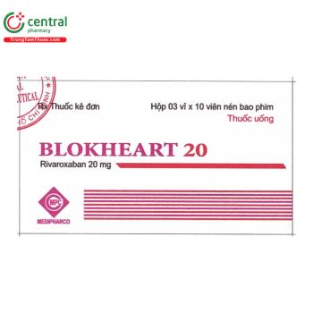 Blokheart 20