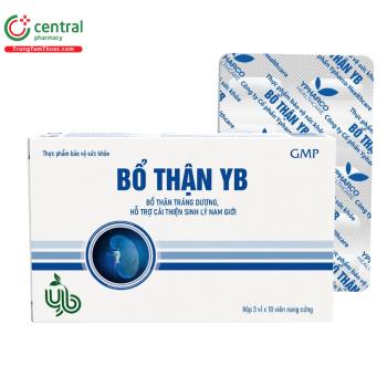 Bổ Thận YB