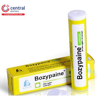 Bozypaine