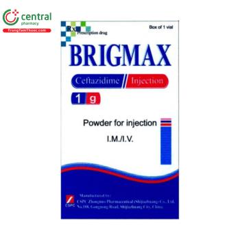 Brigmax