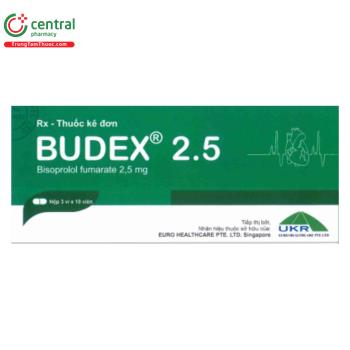 Budex 2.5