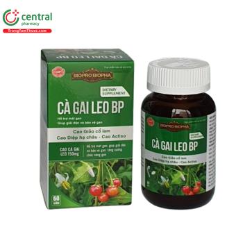Cà Gai Leo BP