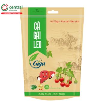 Cà Gai Leo Giga