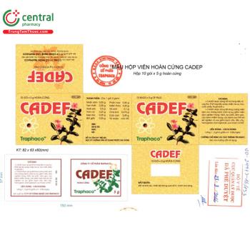 Thuốc Cadef - Tăng cường miễn dịch ở người bị suy giảm miễn dịch