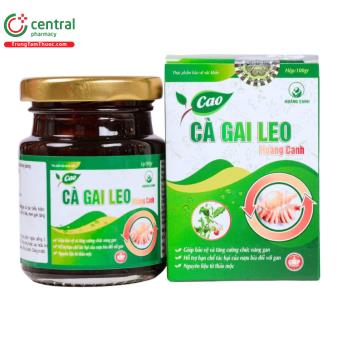 Cao Cà Gai Leo Hoàng Canh