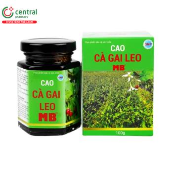 Cao Cà Gai Leo MB