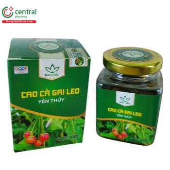 Cao Cà Gai Leo Yên Thuỷ
