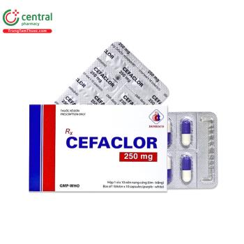 Cefaclor 250mg Domesco (Viên nang cứng tím-trắng)
