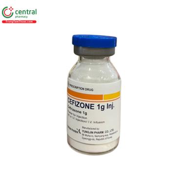 Thuốc Cefizone 1g Inj.: Cách dùng - liều dùng, lưu ý khi dùng