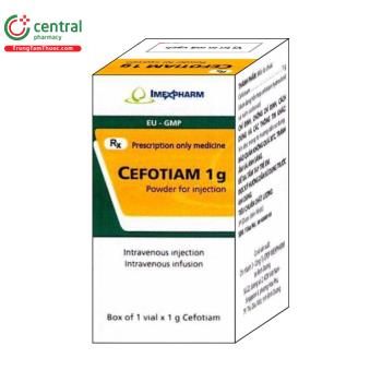 Cefotiam 1g Imexpharm