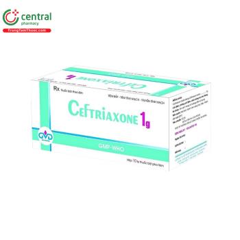 Ceftriaxone 1g Dược Minh Dân