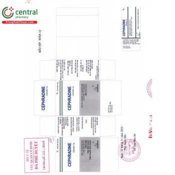 Thuốc Cephradine 1g Amvipharm - Điều trị nhiễm khuẩn da, mô mềm