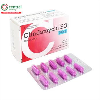 Clindamycin EG 300mg 