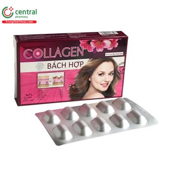 Collagen Bách Hợp