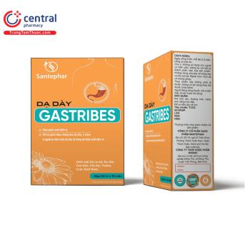 Dạ dày Gastribes