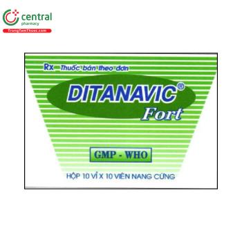 Ditanavic Fort