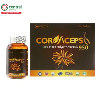 Đông trùng hạ thảo Cordaceps 950