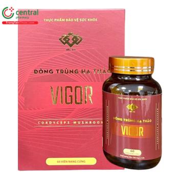 Đông Trùng Hạ Thảo Vigor