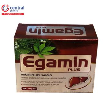 Egamin Plus Dược phẩm Thăng Long