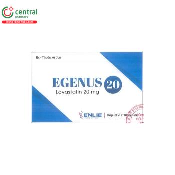 Egenus 20 