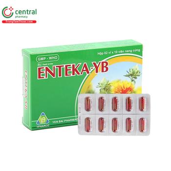 Enteka-YB