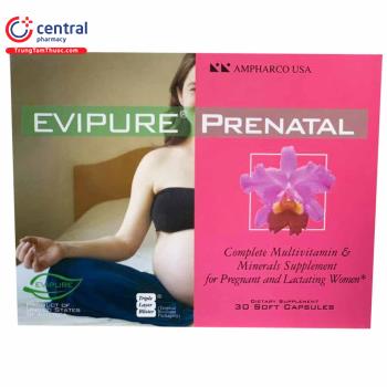 Evipure Prenatal