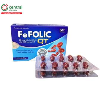 Fe Folic QT