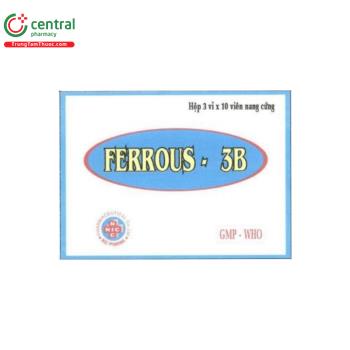 Ferrous - 3B
