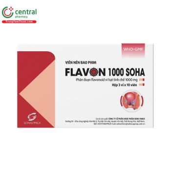 Flavon 1000 SOHA