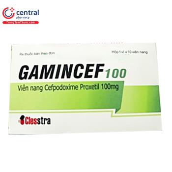 Gamincef 100