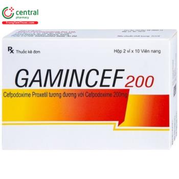 Gamincef 200