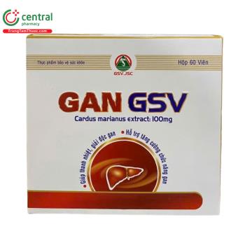 Gan GSV