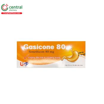 Gasicone 80