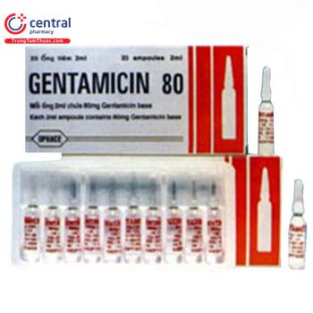 Gentamicin 80 TW25