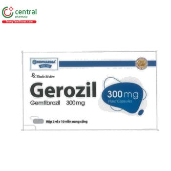 Gerozil 300mg