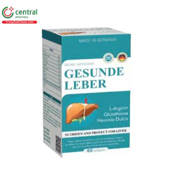 Gesunde Leber