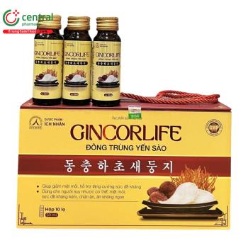 Gincorlife Đông trùng Yến Sào