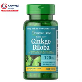 Ginkgo Biloba 120mg Puritan’s Pride