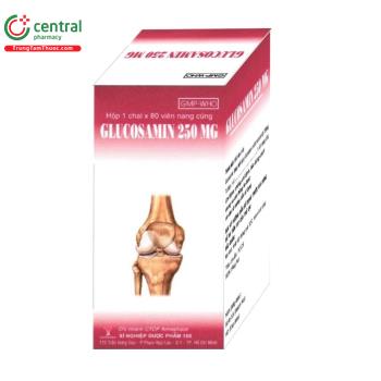 Glucosamin 250mg Armepharco