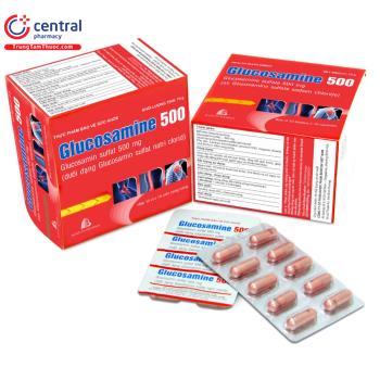 Glucosamine 500 Boston