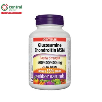 Glucosamine Chondroitin MSM Joint Ease