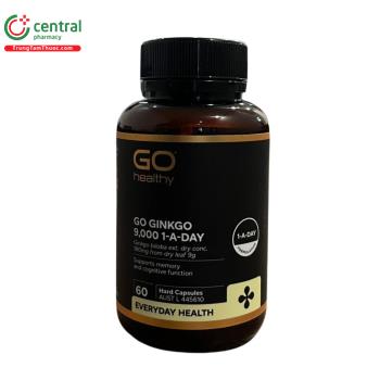 GO Ginkgo 9000 1-A-Day