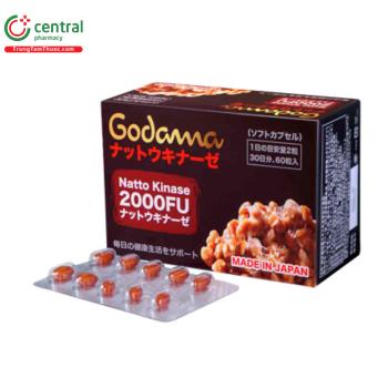 GODAMA (Nattokinase)