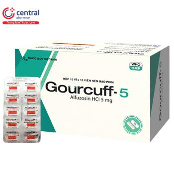 Gourcuff-5