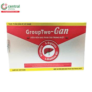 GroupTwo-Gan