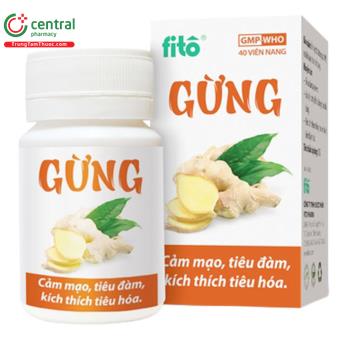 Gừng Fitô