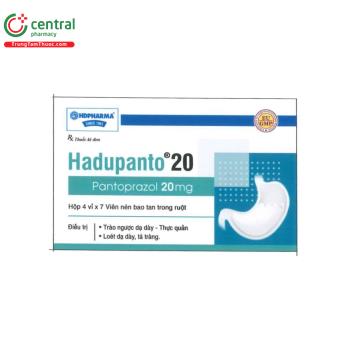 Hadupanto 20