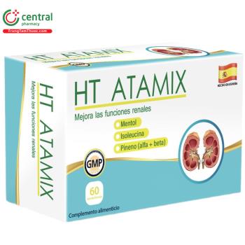 HT Atamix