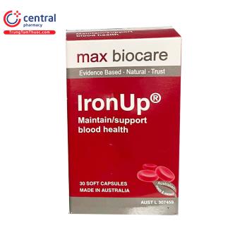 Iron Up max biocare
