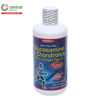 Joint Flex Plus Glucosamine & Chondroitin Plus Collagen Tuyp II 